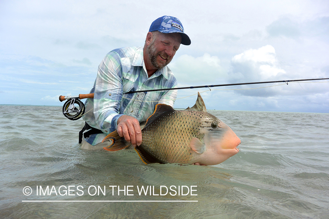 Flyfisherman with peachy triggerfish.