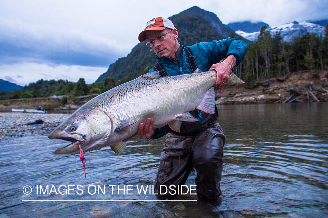 King salmon fishing in Chile.