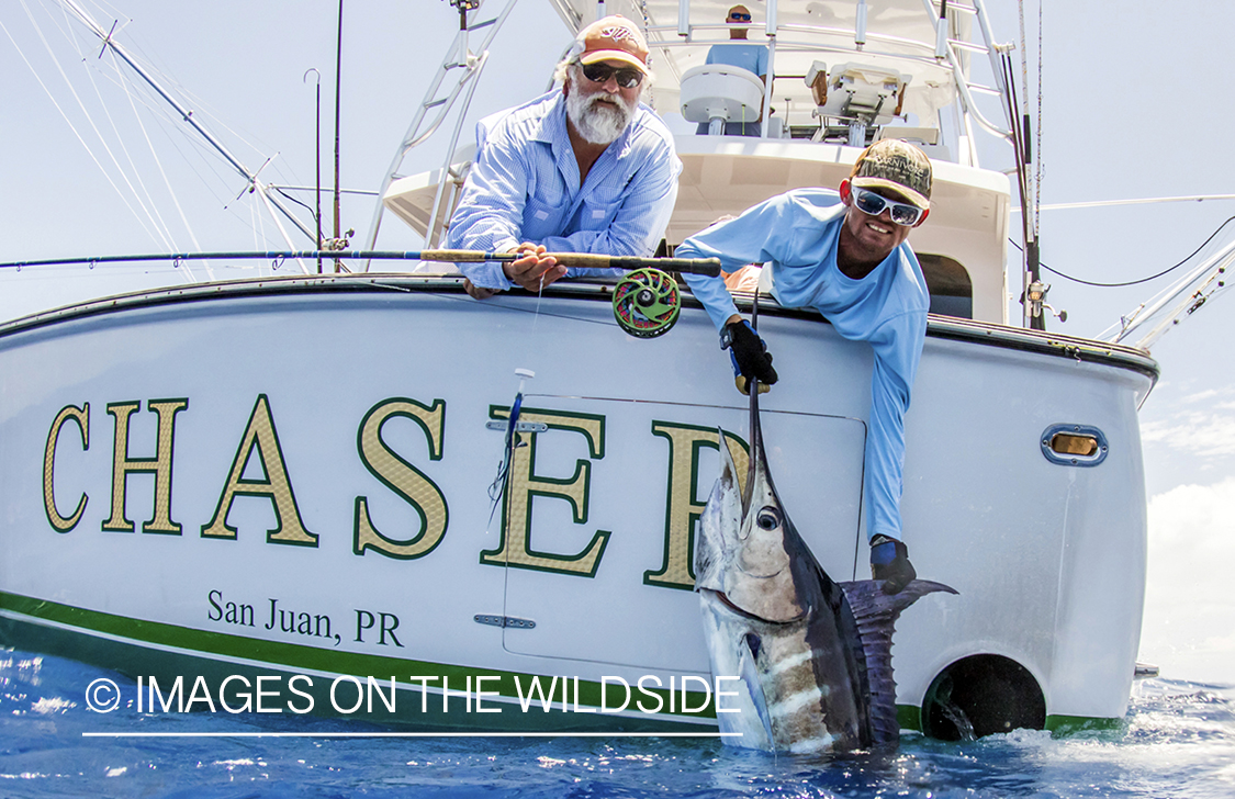 Flyfishermen with marlin (blue).