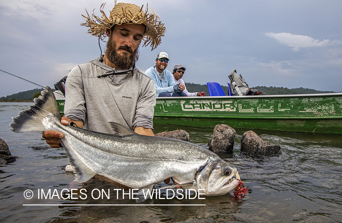 Flyfisherman with payara.