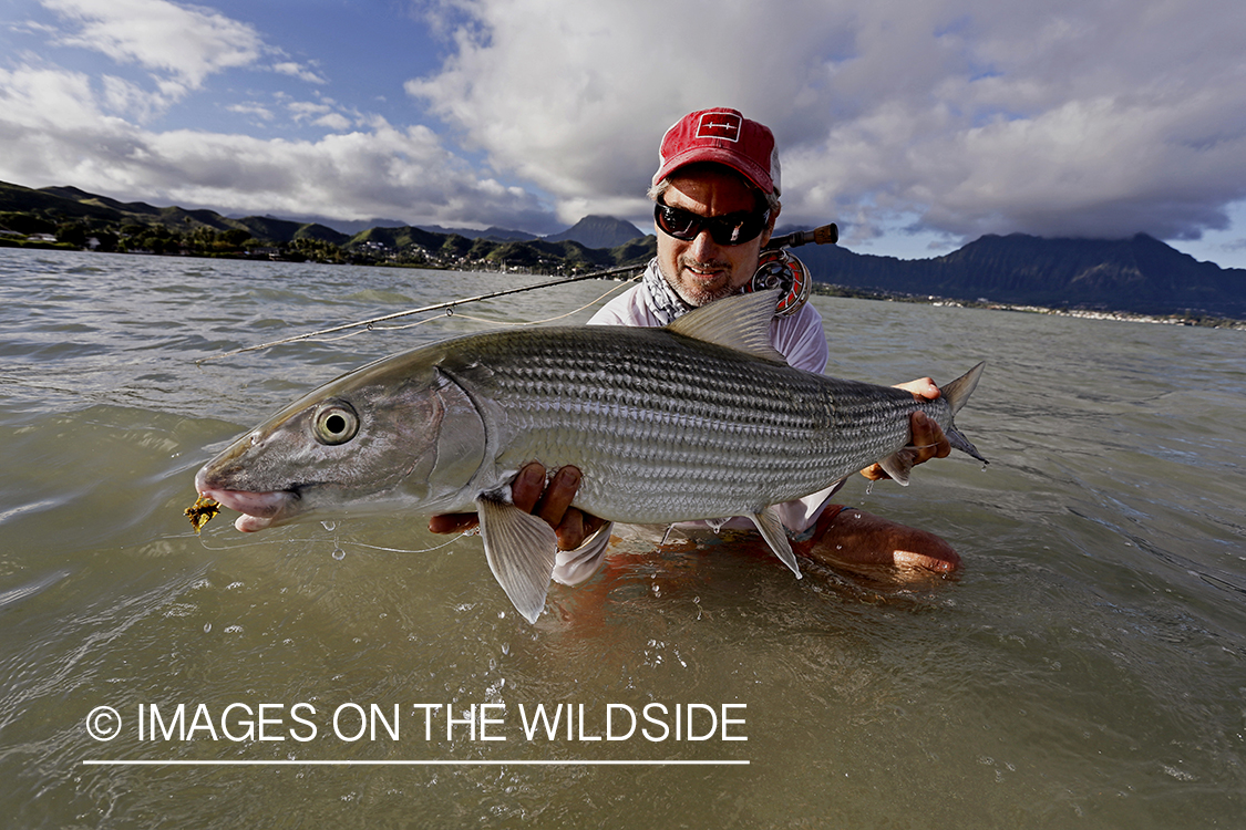 Saltwater flyfisherman with 13 lb bonefish, in Hawaii.