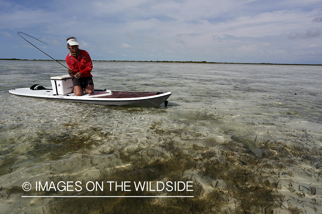 Saltwater flyfishing woman on paddle board fighting bonefish.