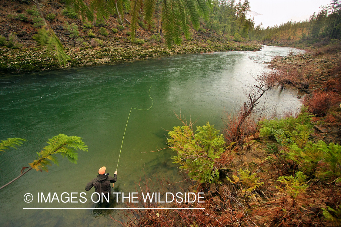 Flyfisherman on river. 