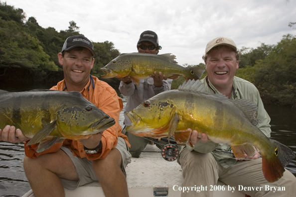 Fishermen holding Peacock Bass