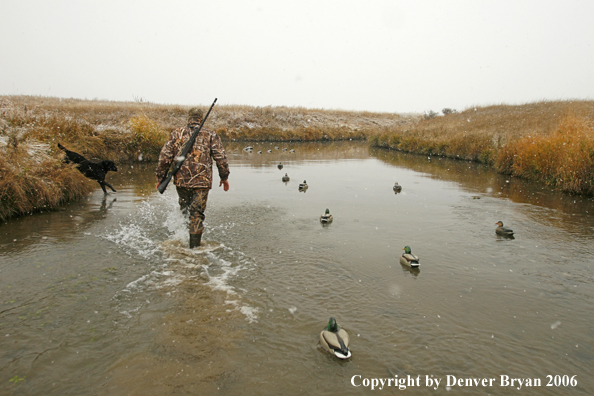 Duck hunting in winter