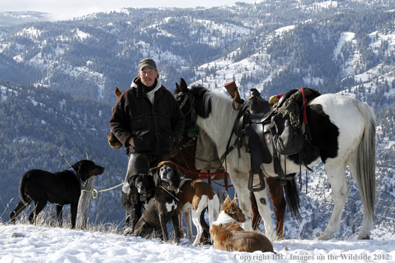 Mountain lion hunter in field with dogs. 