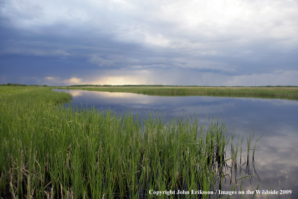 Wetlands on National Wildlife Refuge