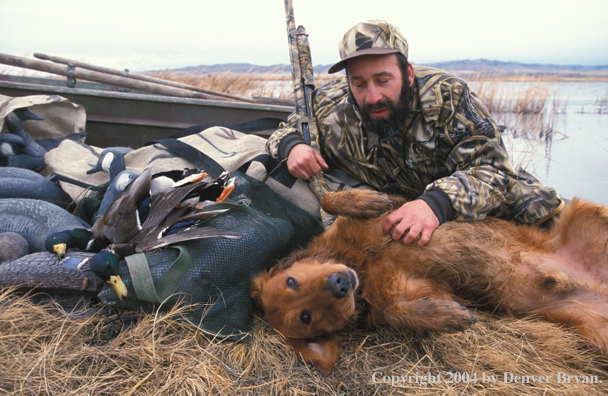 Waterfowl hunter with Golden Retriever and bagged ducks. 