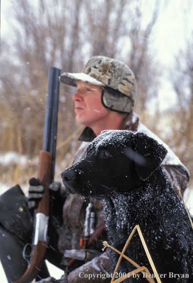 Waterfowl hunter with black Lab. 