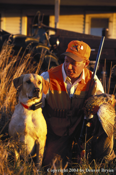 Upland bird hunter with yellow Labrador Retriever and game.