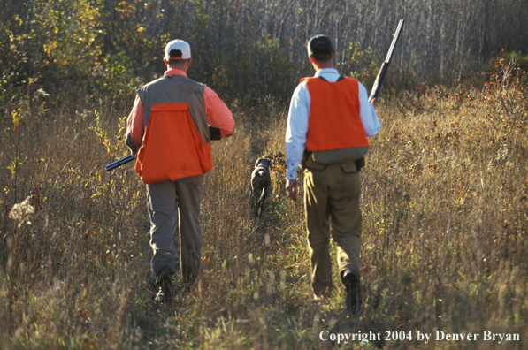 Upland bird hunters with black Labrador Retriever.