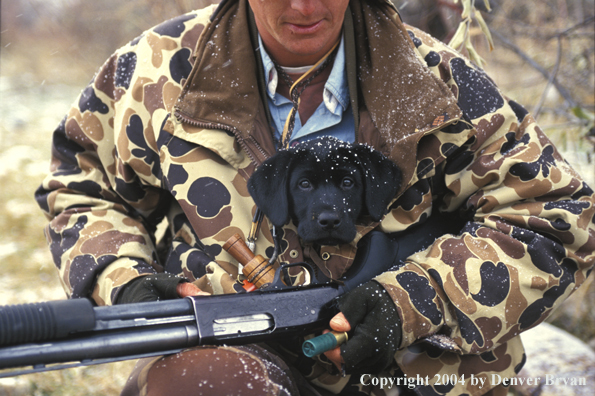 Black Lab pup and waterfowl hunter. 