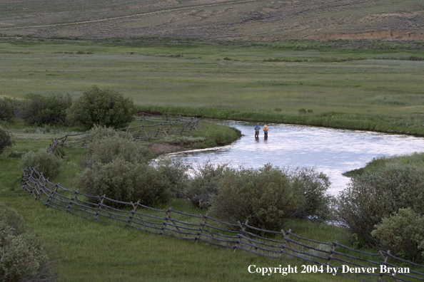 Flyfishermen fishing river.  Summer.