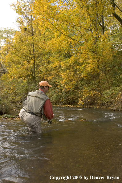 Flyfisherman playing large fish.