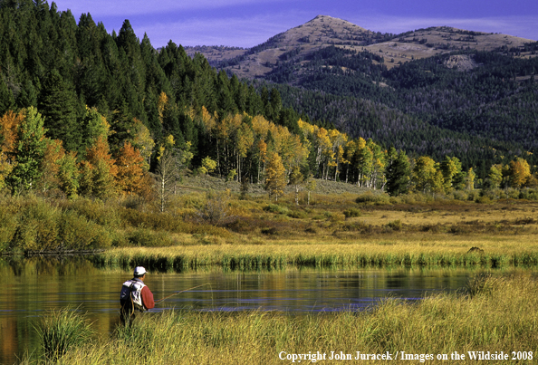 Fall Flyfishing