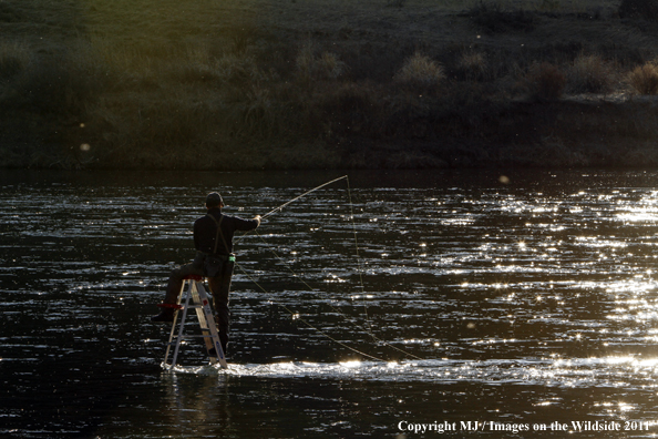 Flyfisherman casting from ladder in middle of river.