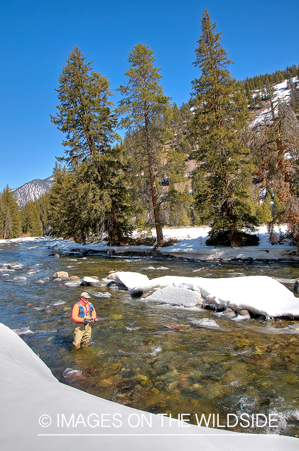 Flyfisherman on Gallitan River, MT in winter.