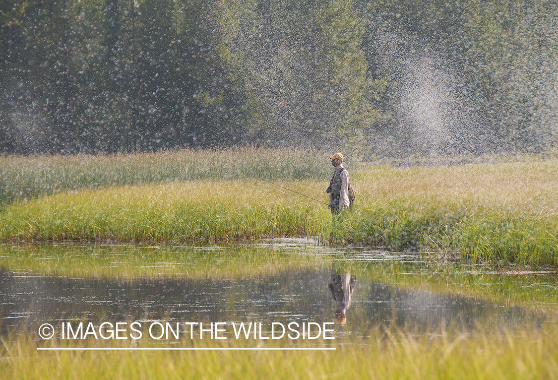 Flyfishing on Madison River, Montana.