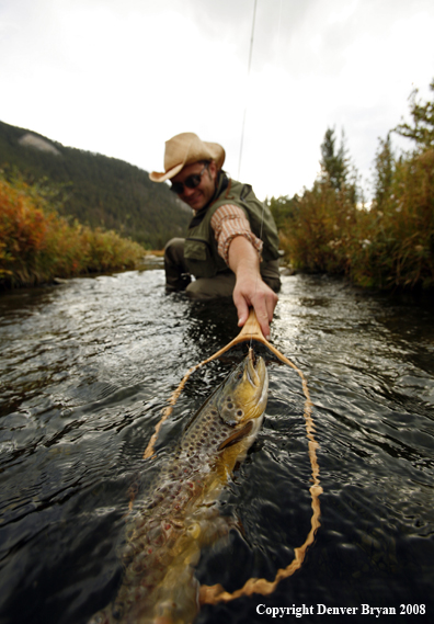 Flyfisherman Netting Large Brown Trout