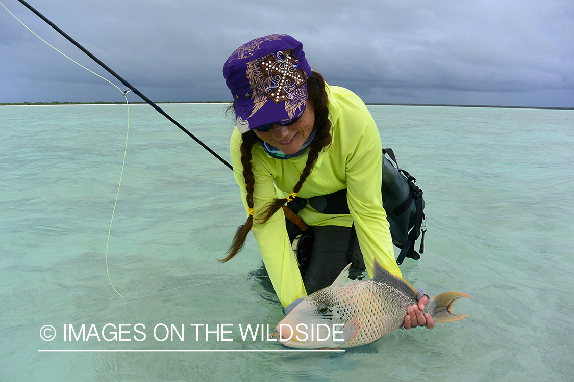 Flyfisherman with peachy triggerfish.