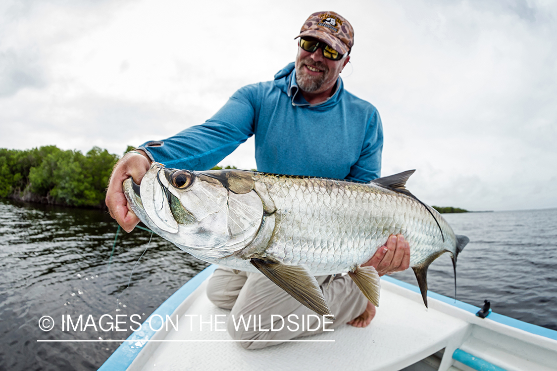 Flyfisherman releasing tarpon.