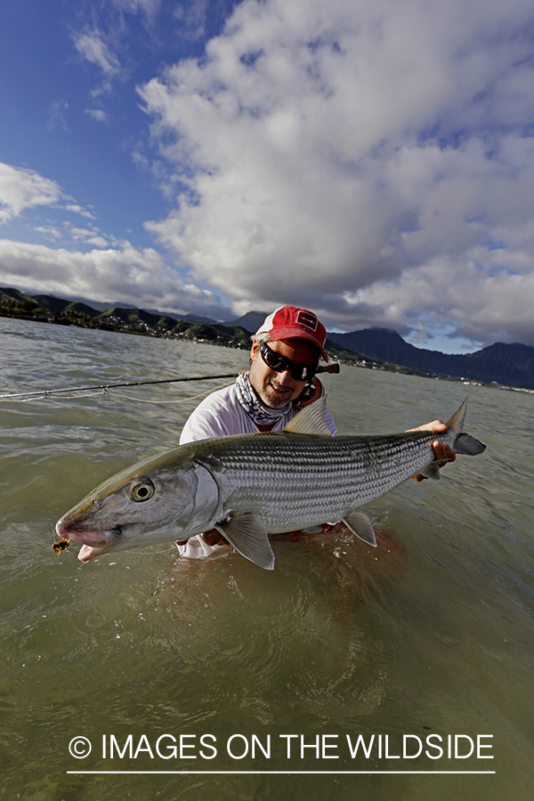 Saltwater flyfisherman with 13 lb bonefish, in Hawaii.