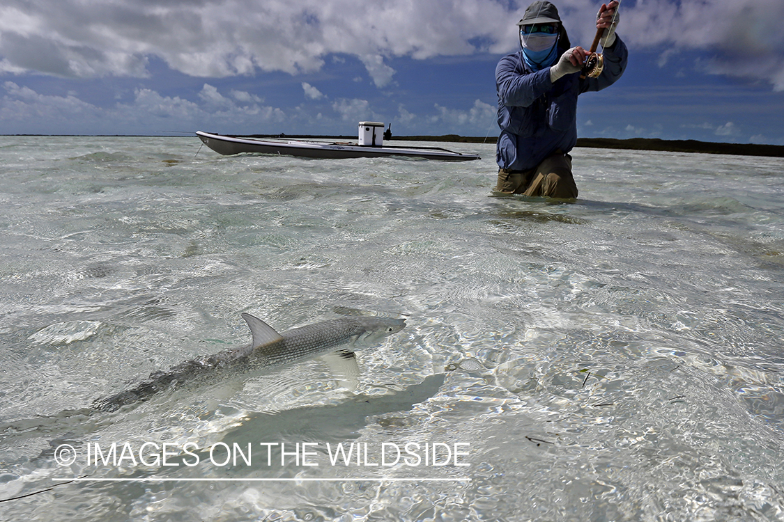 Flyfisherman fighting bonefish.