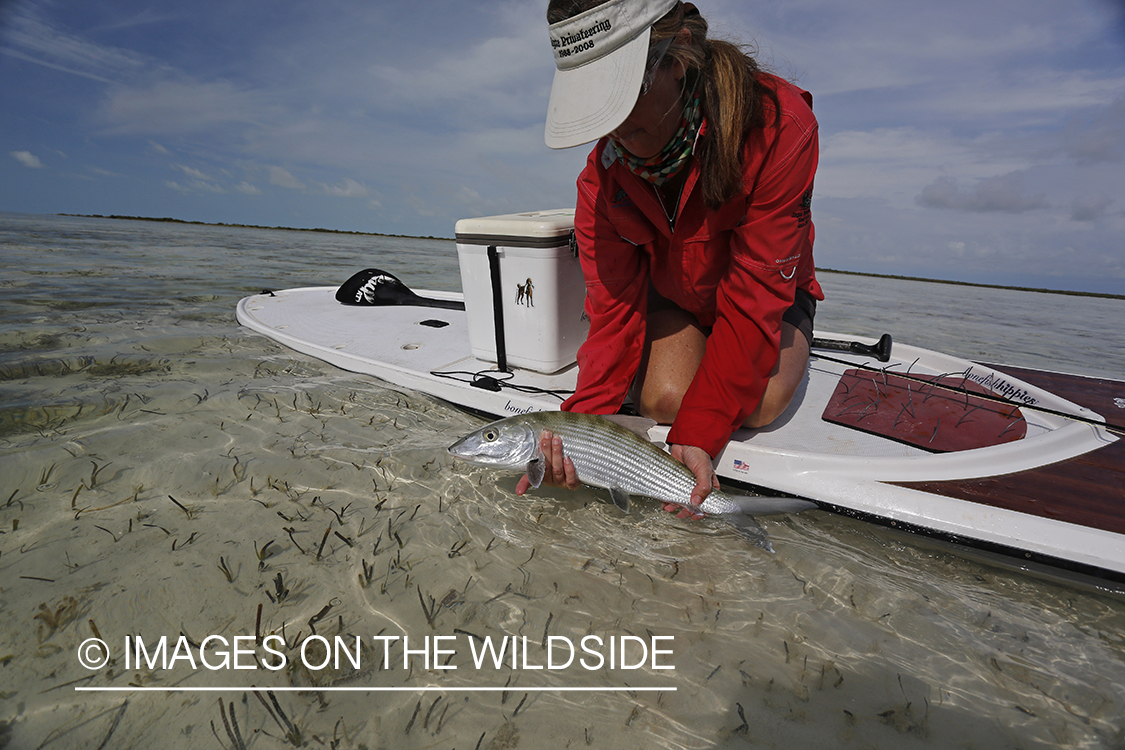 Saltwater flyfishing woman on paddle board releasing bonefish.