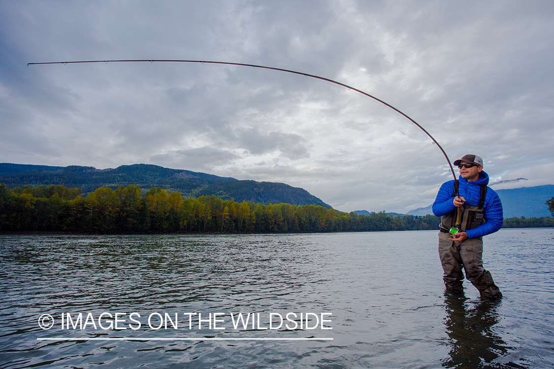 Steelhead fishing