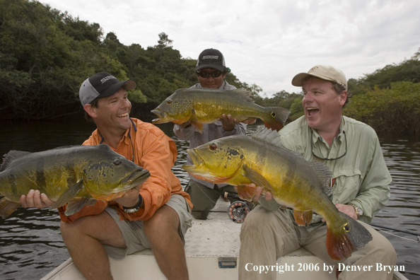 Fishermen holding Peacock Bass