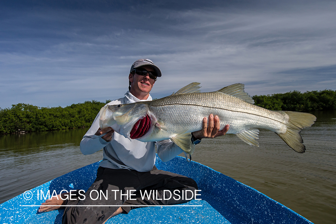 Flyfisherman with snook.