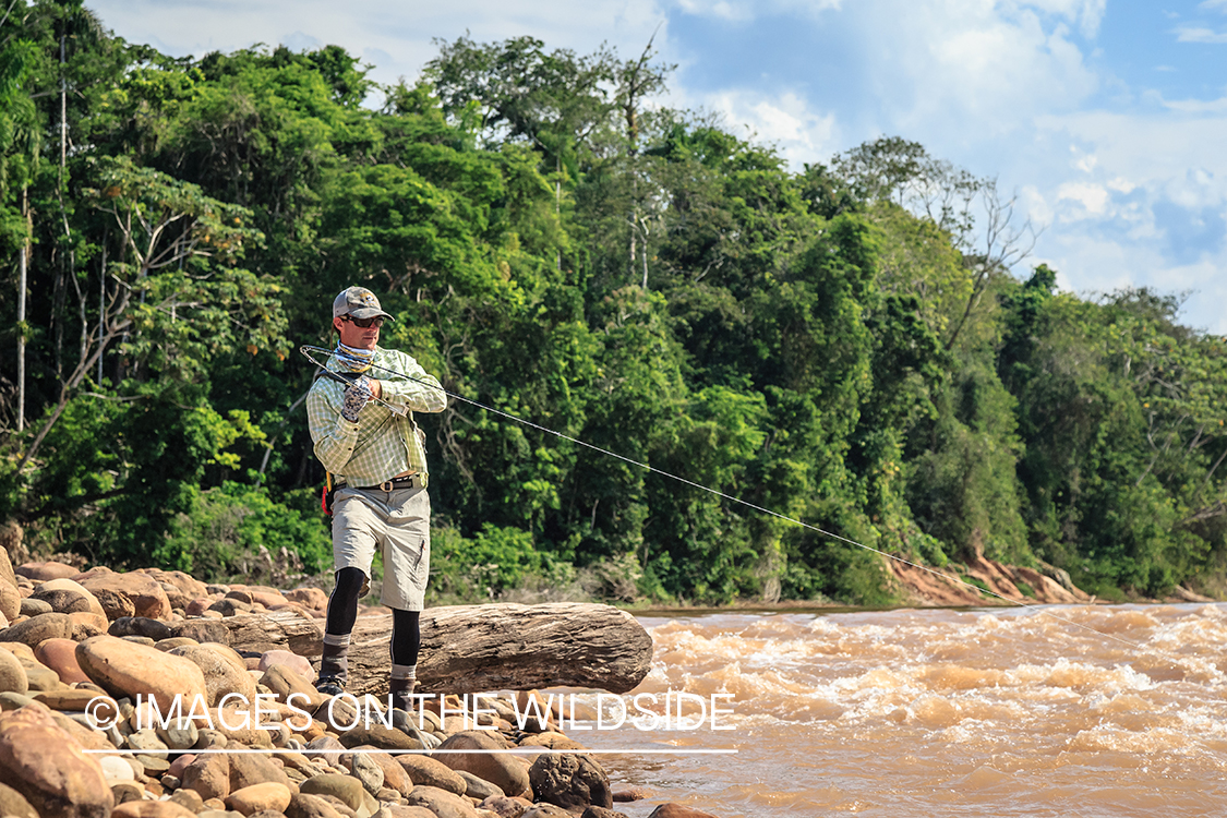 Flyfishing for Golden Dorado in Bolivia.