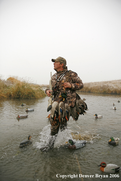 Duck hunting in winter