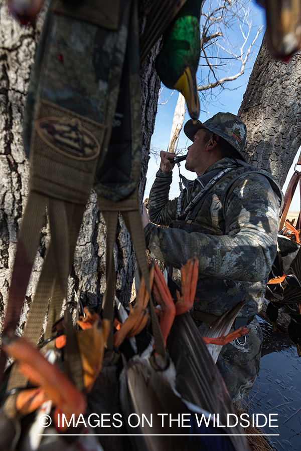 Waterfowl hunting