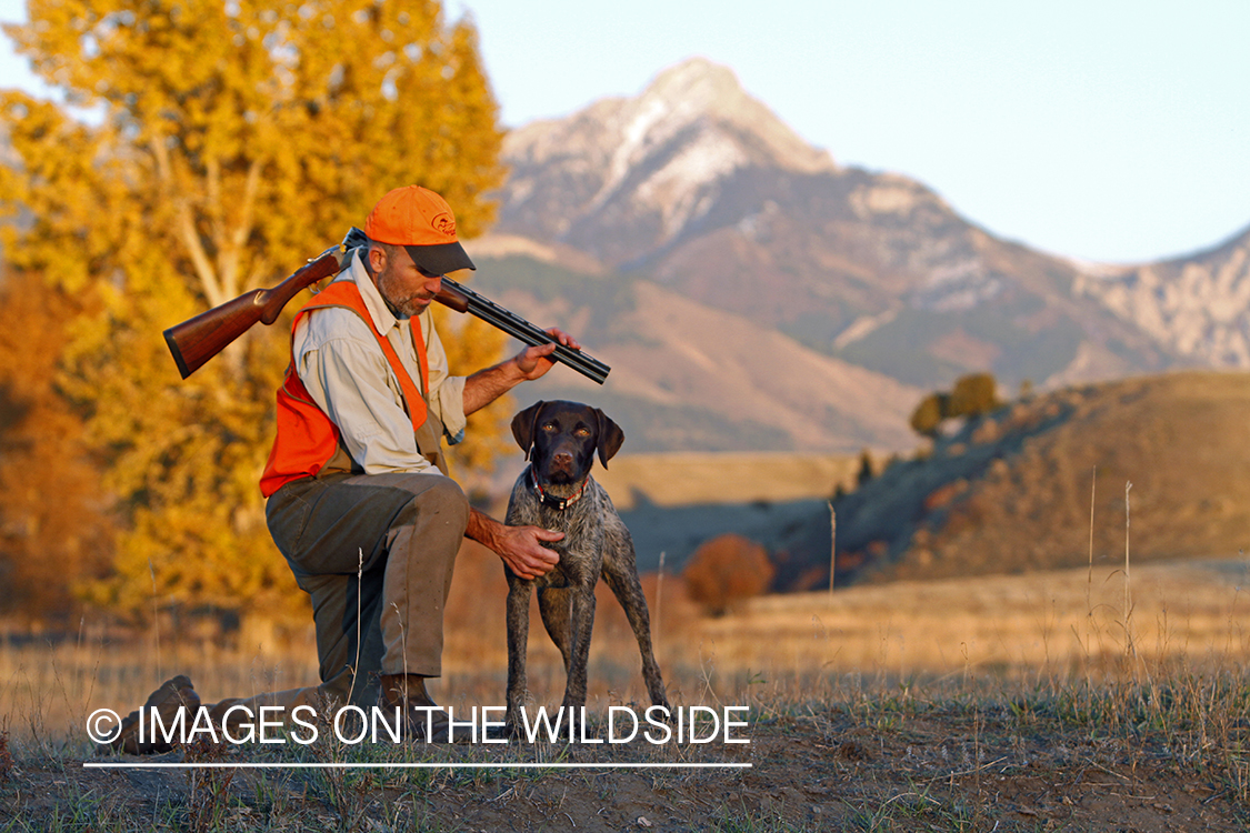 Upland game bird hunter in field with Griffon Pointer.