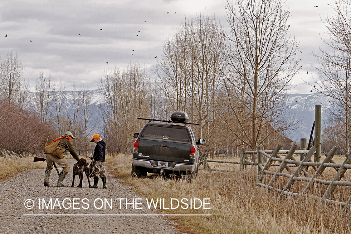 Father and son pheasant hunting. 