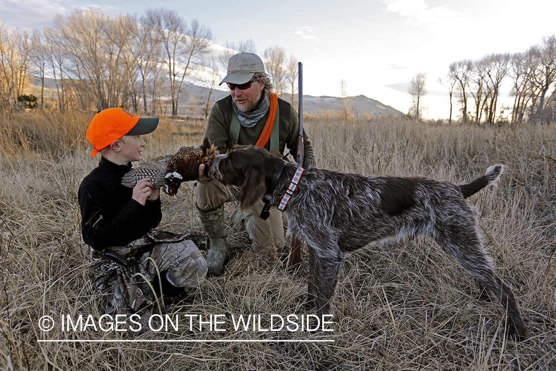 Father and son pheasant hunters with bagged pheasant. 