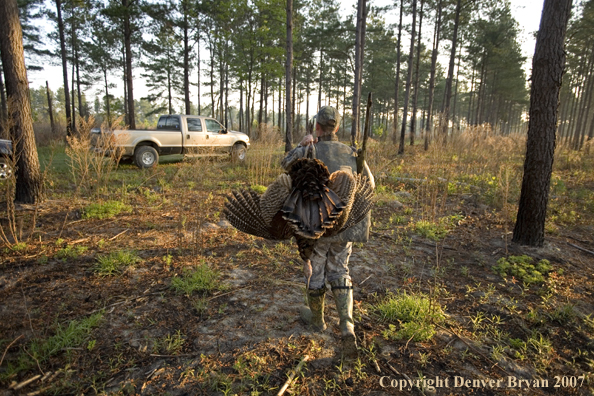 Turkey hunter in field with bagged bird