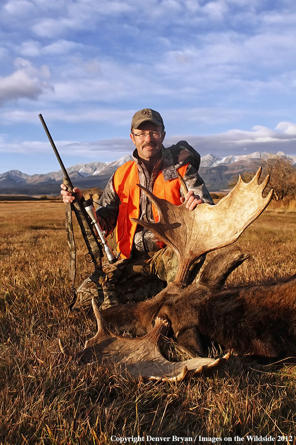 Hunter with downed bull moose in field.