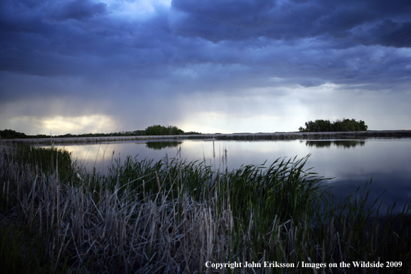 Rainstorm over Wetlands on National Wildlife Refuge