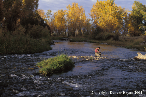 Flyfisherman choosing flies.