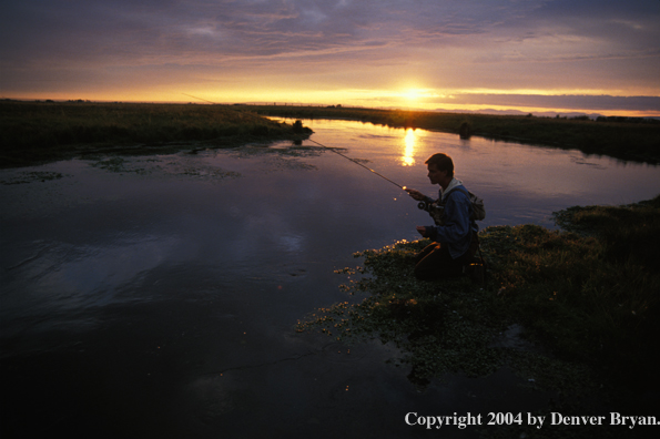 Flyfisherman casting in river.