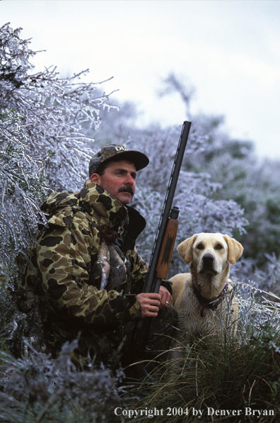 Waterfowl hunter with yellow Lab. 