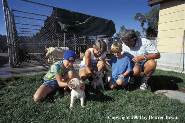 Family with yellow Labrador Retriever puppies