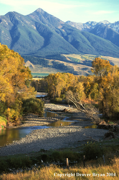 Flyfisherman in river.