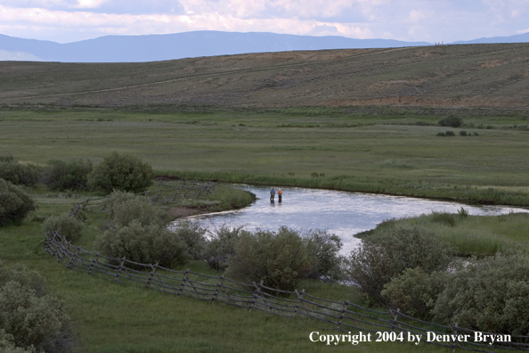 Flyfishermen fishing river.  Summer.