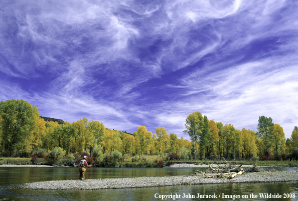 Fall Flyfishing