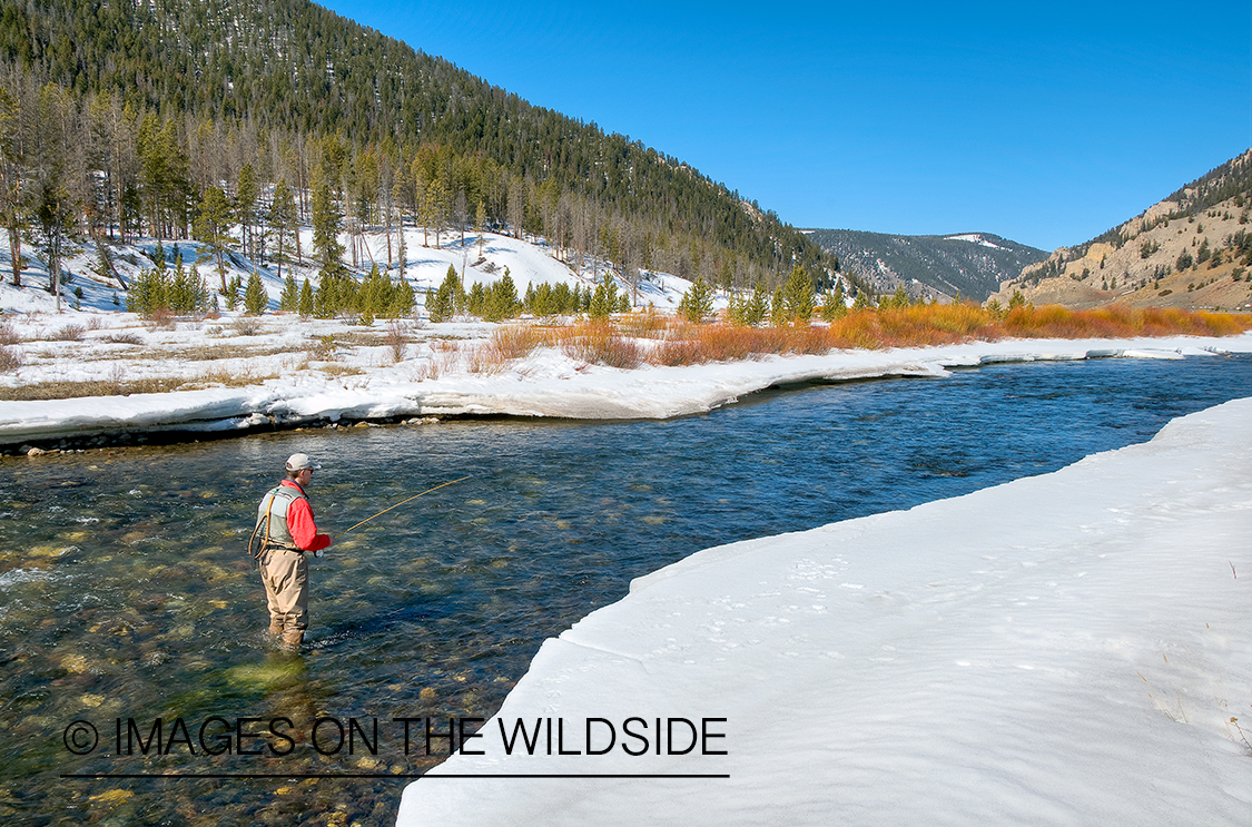 Flyfisherman on Gallitan River, MT in winter.