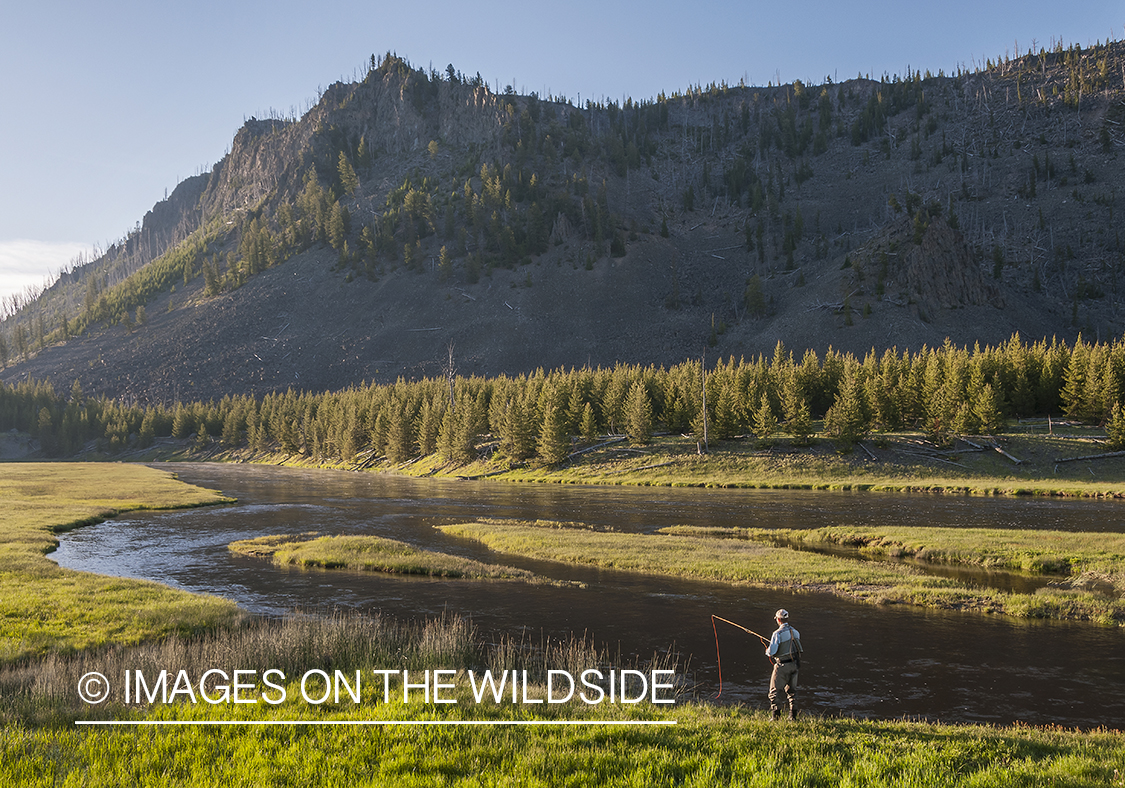 Flyfishing on Madison River, Montana.