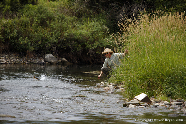 Flyfisherman fishing stream 